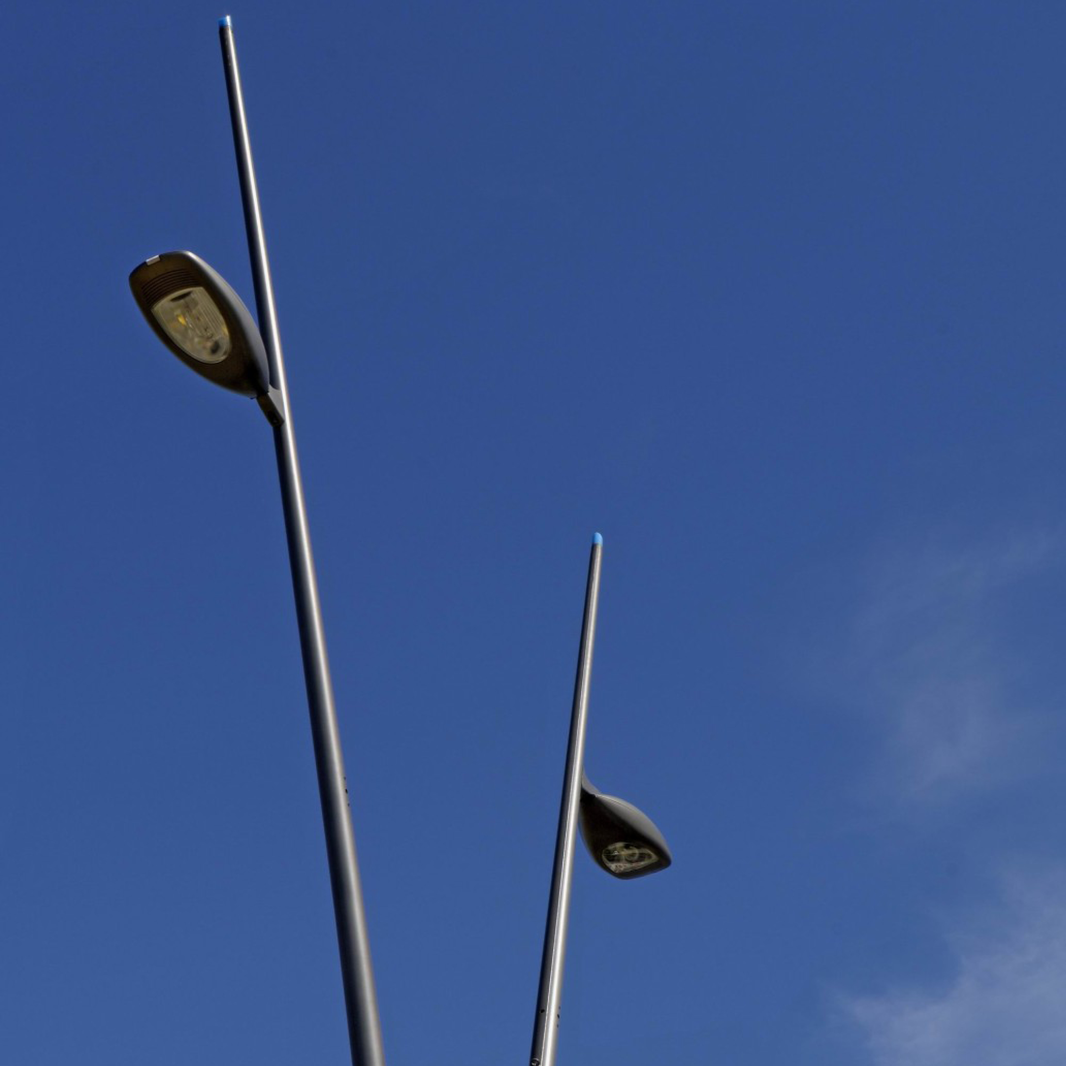 Mâts cintrés Laxou Sapinière